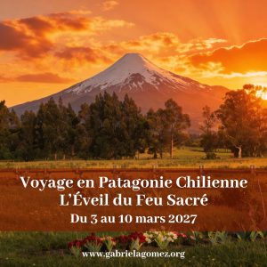 3 al 10 de marzo de 2027 - Viaje a la Patagonia